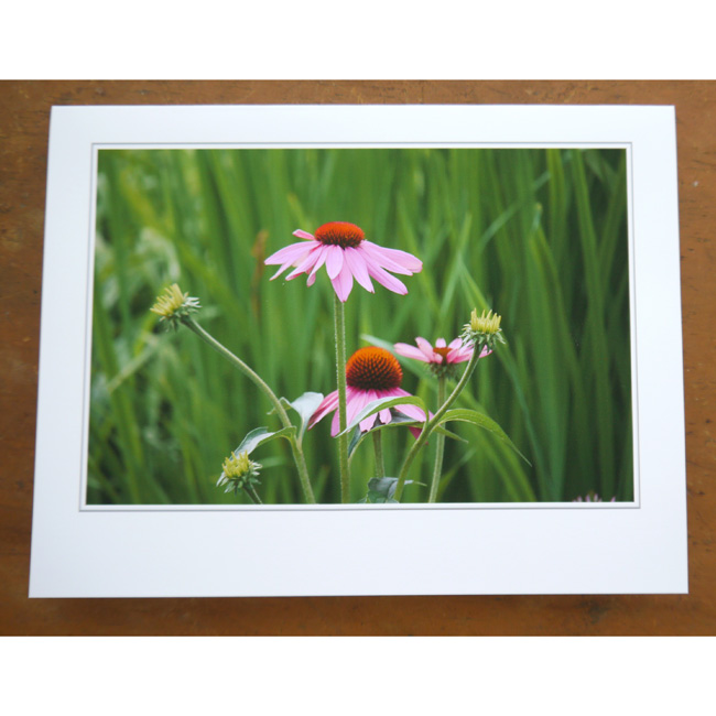 Sabbathday Lake Shaker Village Blank Card by Peg Becksvoort