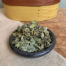Shaker Basil, Culinary Herbs from Sabbathday Lake Shaker Village, Maine