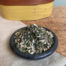 Shaker Dill Dip, Culinary Herbs from Sabbathday Lake Shaker Village, Maine