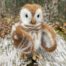 Barred Owl Needlefelt Whimsy Kit by Heidi Boyd