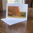 Shaker Maple Tree blank card by Peg Becksvoort
