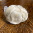 White Merino Wool Roving by Ewes to You, Betsey Leslie